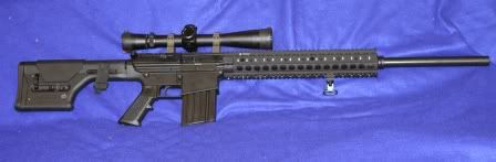 DPMS01.jpg