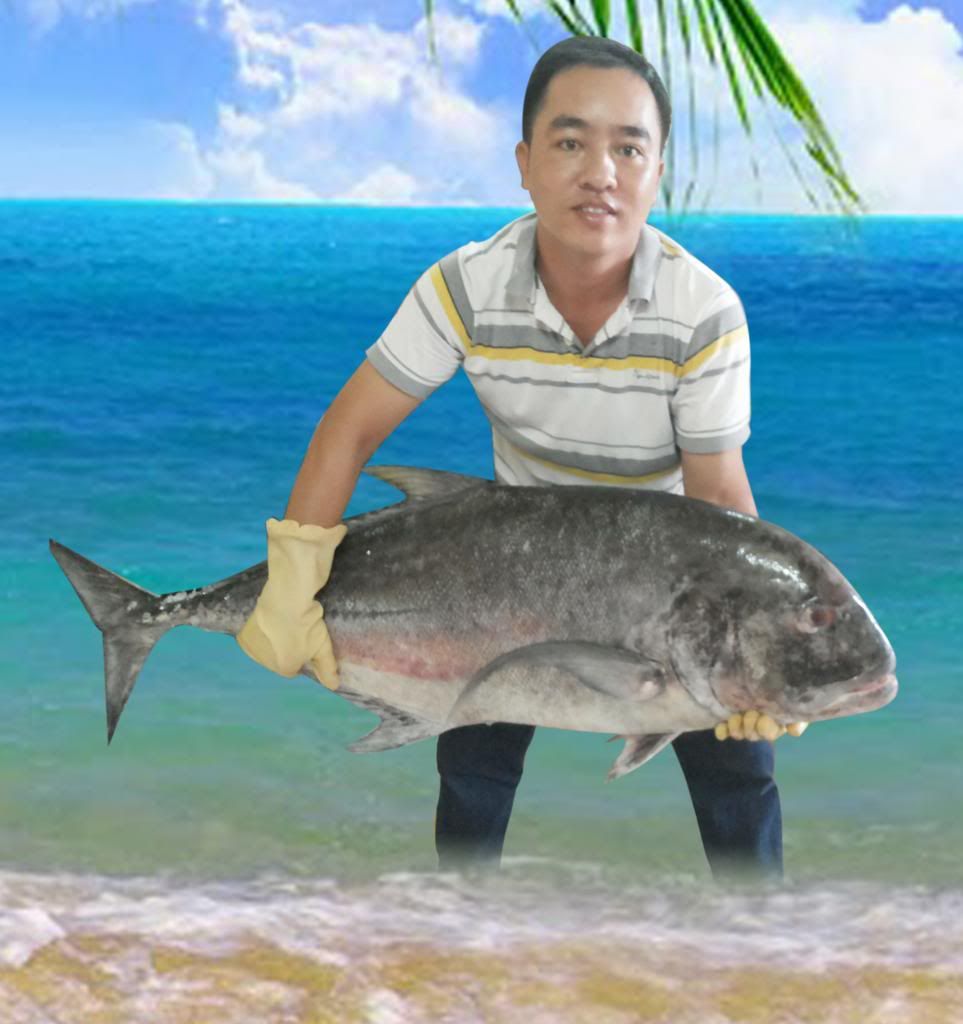 Mắt cá ngừ, cá hồng, cá bè, cá gáy, cá bớp...giao hàng toàn quốc.