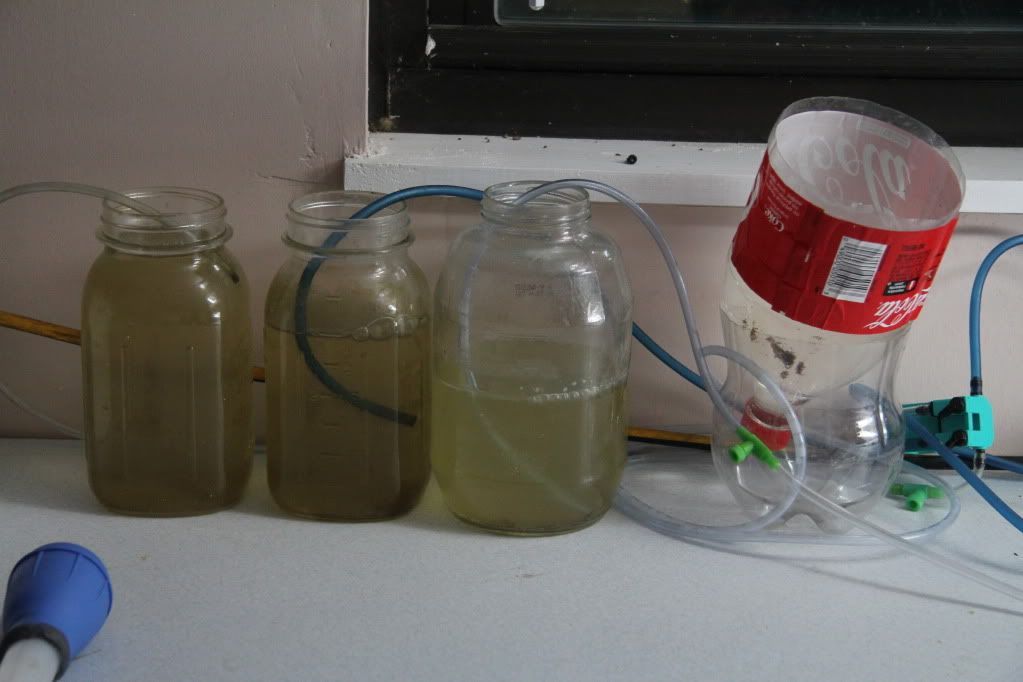 IMG 3447 - Flynns Breeding System