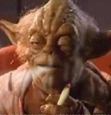 Yoda Weed