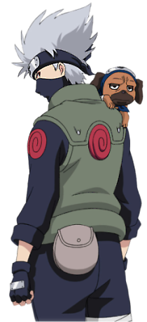 Kakashi-Pakkun