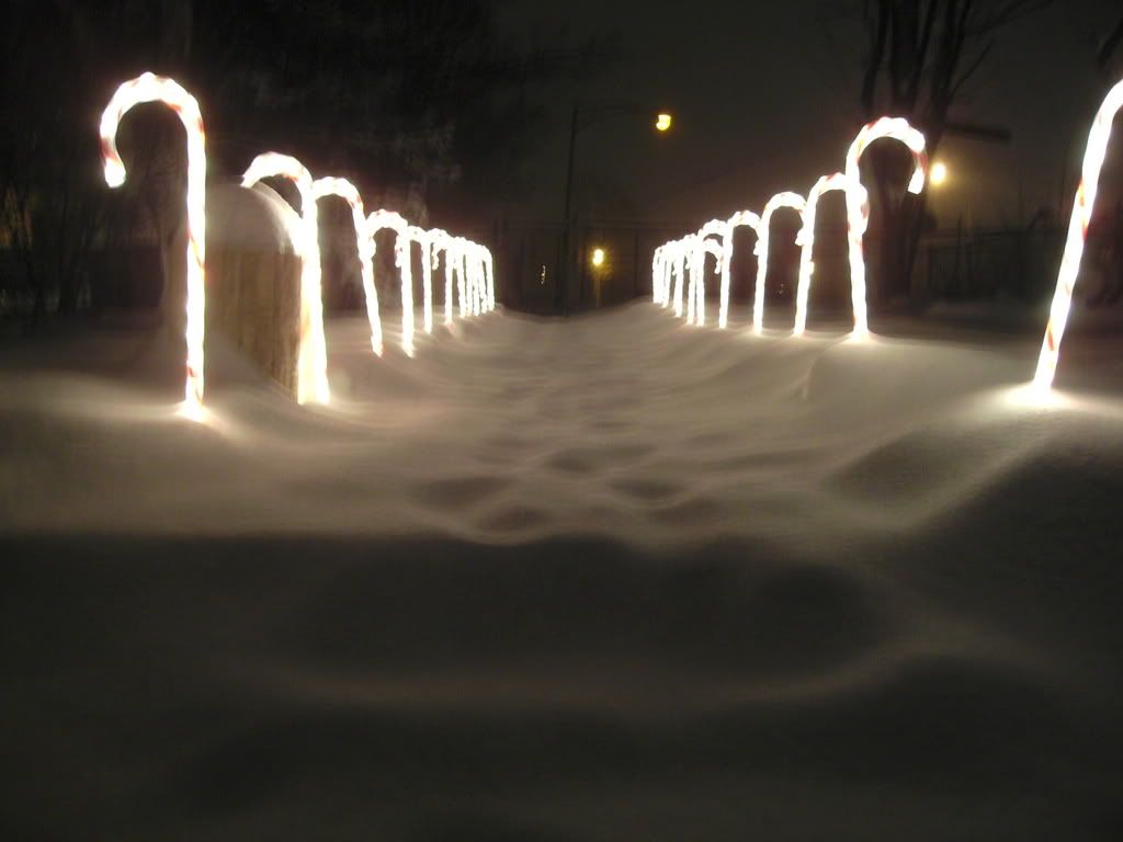 candy cane lane Pictures, Images and Photos