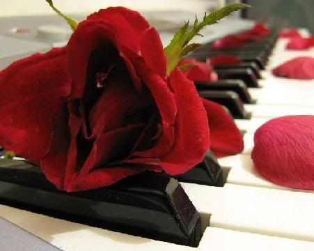 rose on piano photo: Piano Rose pianoandrose.jpg