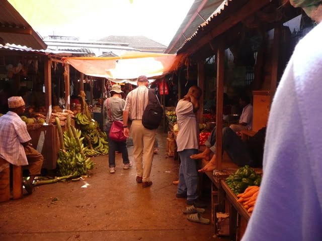 P1020266.jpg