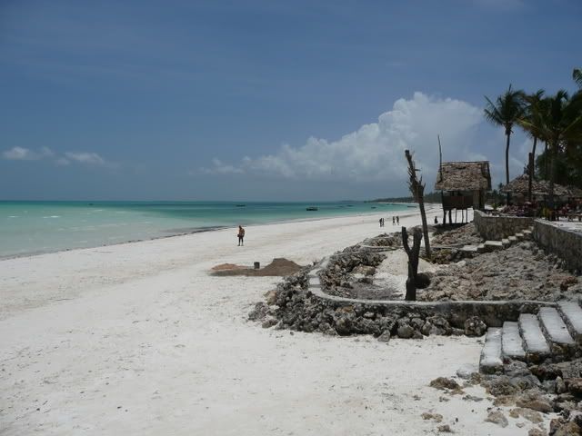P1020352.jpg
