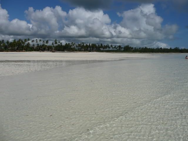 P1020413.jpg