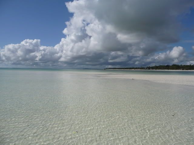 P1020416.jpg