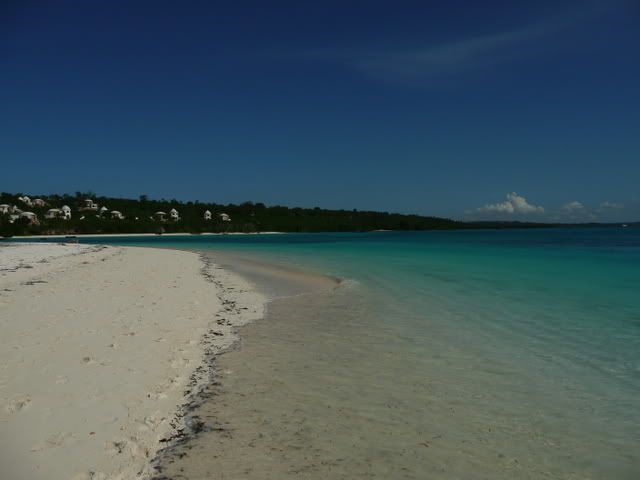 P1020482.jpg