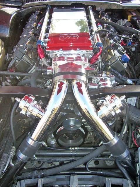 [Image: CIMG0852_edited-1.jpg]