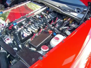 [Image: CIMG0861_edited-1.jpg]