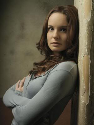 Sarah Wayne Callies staring in "The Walking Dead" Sarah Wayne Callies staring in "The Walking Dead"
