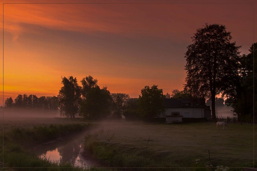 Fotografie