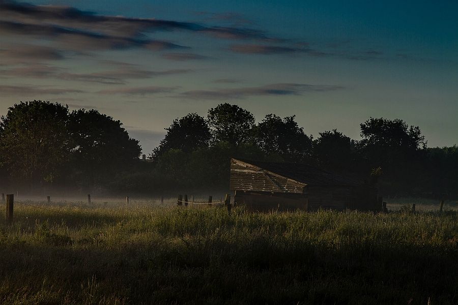 Fotografie