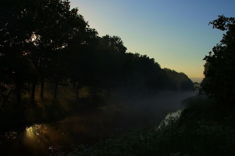 Fotografie