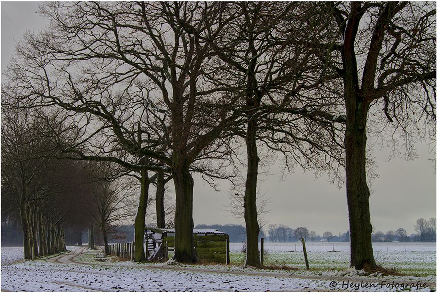 Fotografie