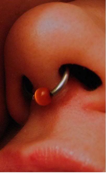 piercing nose ring. or this nose ring