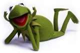 thkermit-the-frog.jpg