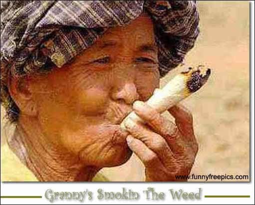 smoke+that+weed gram+gram+smokein+ 