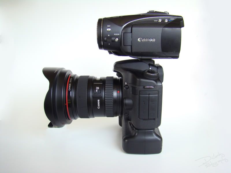 Canon 5DII with battery grip vs. Canon 60D