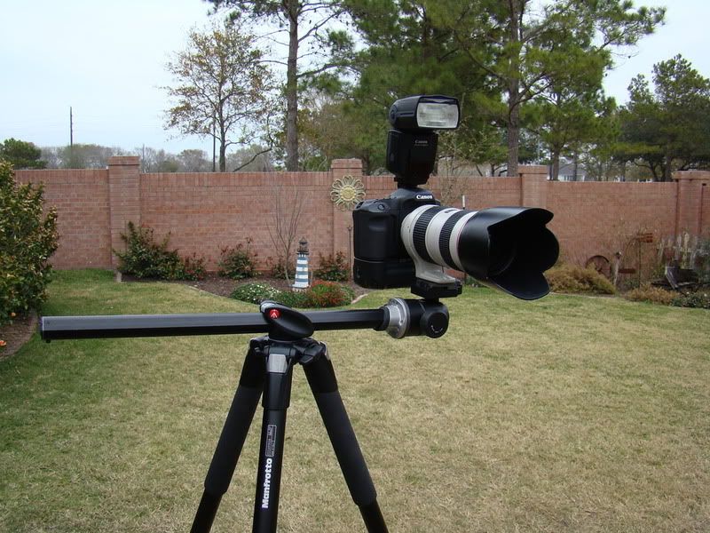 IMAGE: http://i305.photobucket.com/albums/nn207/muddytaco3/f50d1c1d.jpg
