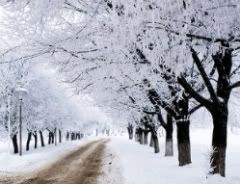 snow Pictures, Images and Photos
