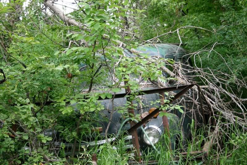 IMAGE: http://i305.photobucket.com/albums/nn207/wysiwyg77/IMG_0295JPG.jpg