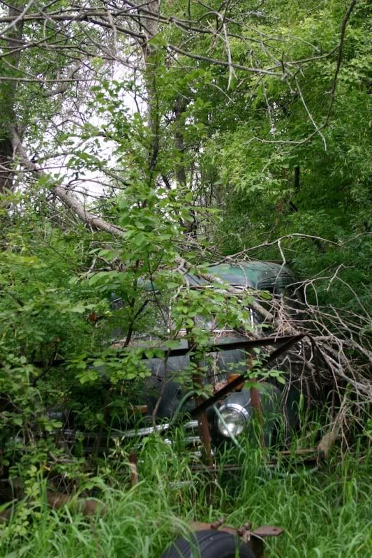 IMAGE: http://i305.photobucket.com/albums/nn207/wysiwyg77/IMG_0296JPG.jpg