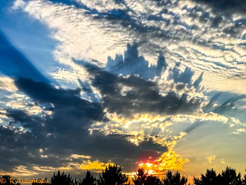 IMAGE: http://i305.photobucket.com/albums/nn207/wysiwyg77/IMG_4602_zpskjzjipat.jpg