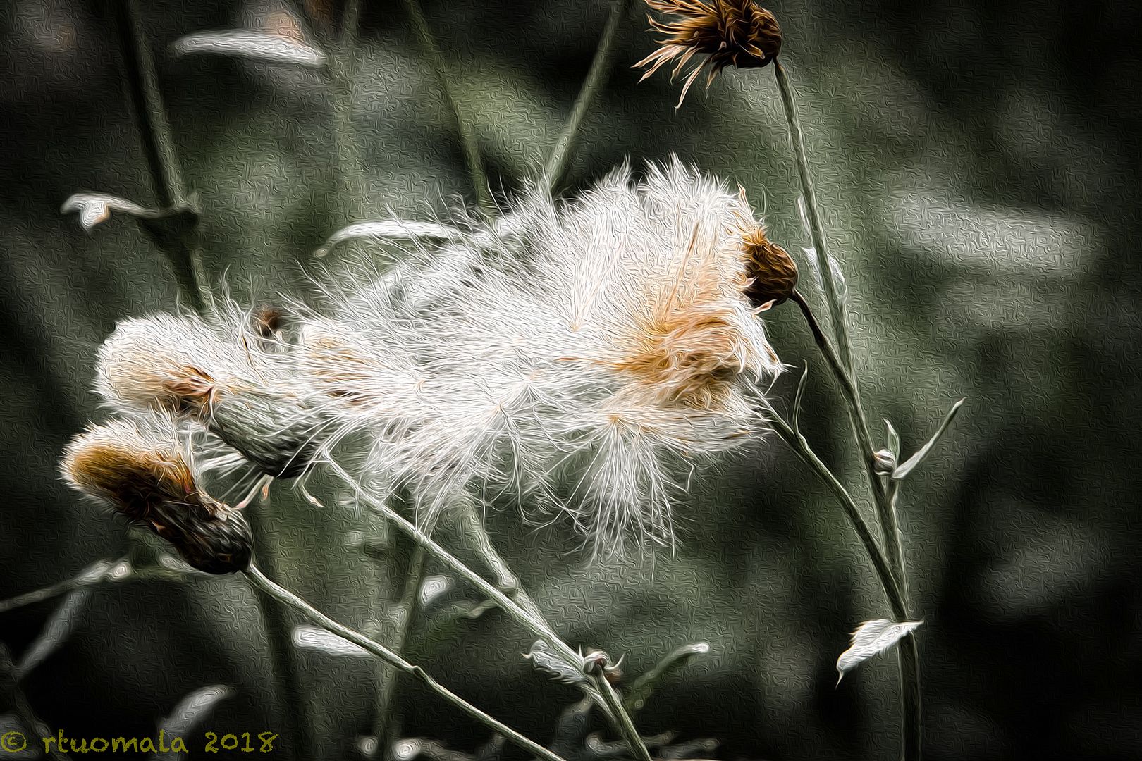 IMAGE: http://i305.photobucket.com/albums/nn207/wysiwyg77/IMG_7617-Edit-Edit_zpst5dqei2p.jpg