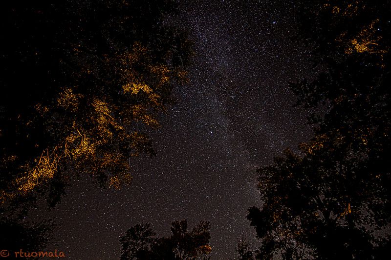 IMAGE: http://i305.photobucket.com/albums/nn207/wysiwyg77/_MG_1766%201_zpsi6gp1pze.jpg