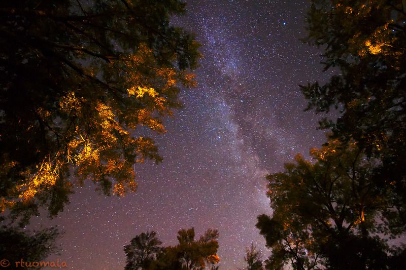 IMAGE: http://i305.photobucket.com/albums/nn207/wysiwyg77/_MG_1766%203_zpsudqj2wjt.jpg