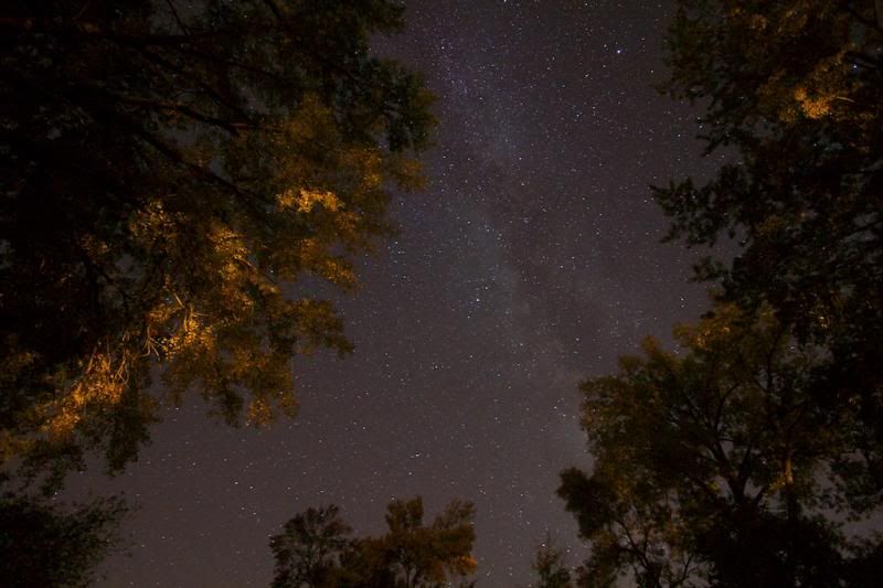 IMAGE: http://i305.photobucket.com/albums/nn207/wysiwyg77/_MG_17662_zps79f3ec70.jpg