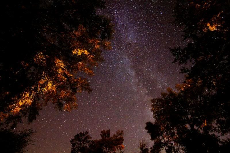 IMAGE: http://i305.photobucket.com/albums/nn207/wysiwyg77/_MG_17663_zps8705aa18.jpg