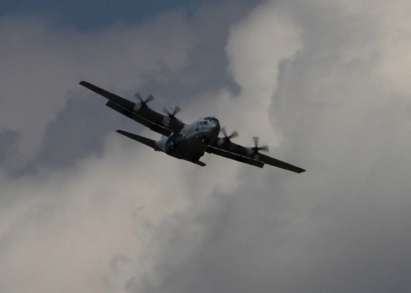 IMAGE: http://i305.photobucket.com/albums/nn207/wysiwyg77/_MG_5173.jpg