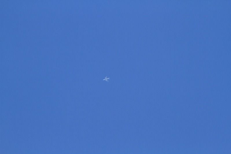 IMAGE: http://i305.photobucket.com/albums/nn207/wysiwyg77/_MG_7383.jpg