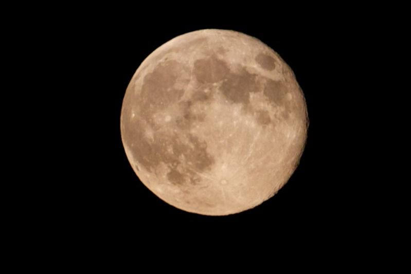 IMAGE: http://i305.photobucket.com/albums/nn207/wysiwyg77/_MG_8479.jpg