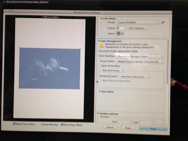 IMAGE: http://i305.photobucket.com/albums/nn207/wysiwyg77/photo1_zpsc0022b6d.jpg