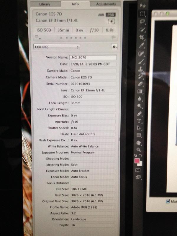 IMAGE: http://i305.photobucket.com/albums/nn207/wysiwyg77/photo2_zps9cc2453f.jpg