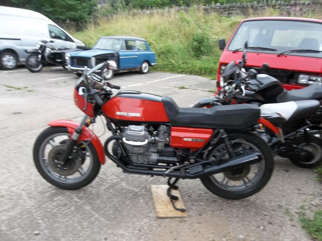 [Image: 100_0890_zps560c57fe.jpg]