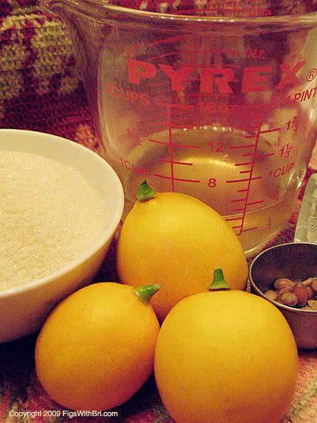 Simple ingredients for making candied Meyer lemon slices or peel