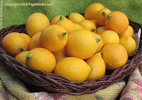 Basket of Meyer Lemons