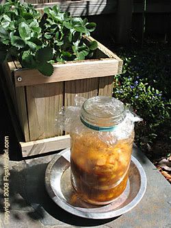 Indian Lemon Pickle \'cooking\' in the sun on the slate patio near a strawberry planter. 