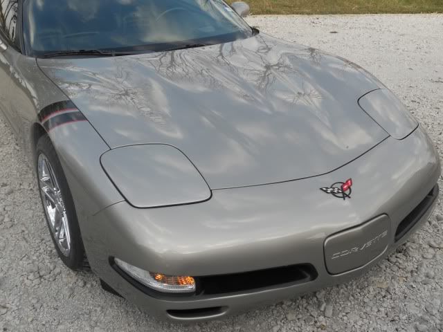 vette1.jpg