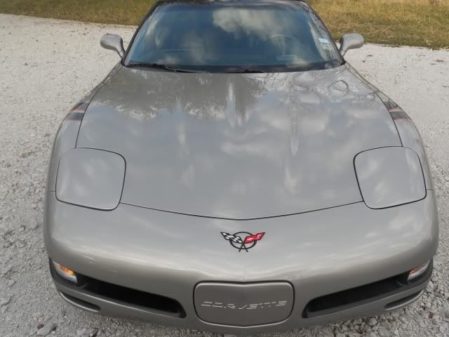 vette4.jpg