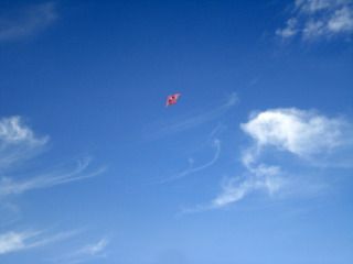 Fly a Kite pink kite