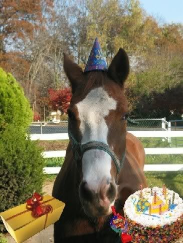 Happybrithdayhorse.jpg