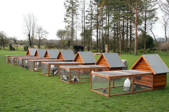 schweiz1.jpg Chicken House image by silverdutch