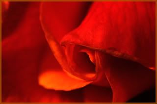 red.jpg