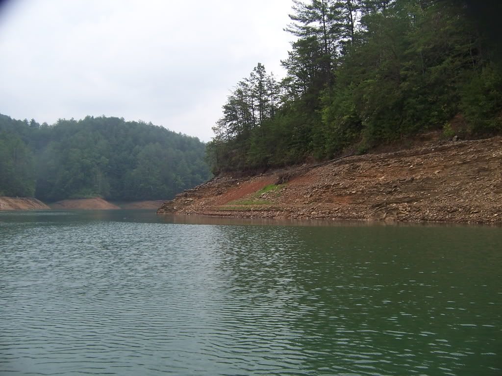 100_4081.jpg