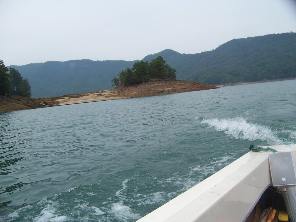 100_4086.jpg